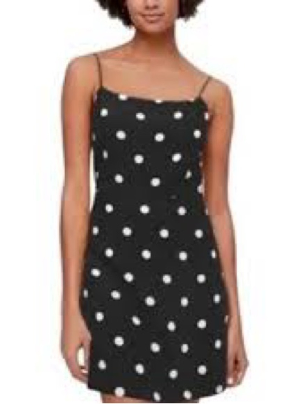 Aritzia Isabelle Dress